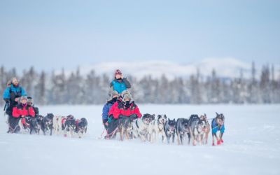 dogsledding Swedish Lapland
