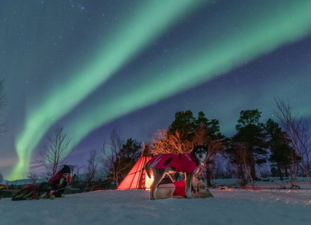 northern lights holiday package