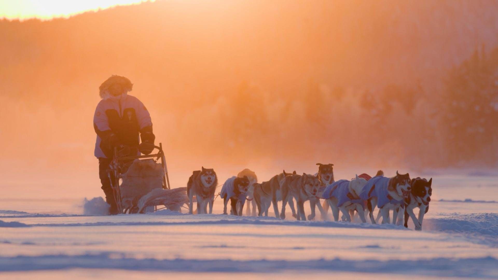 all inclusive aurora photo tour