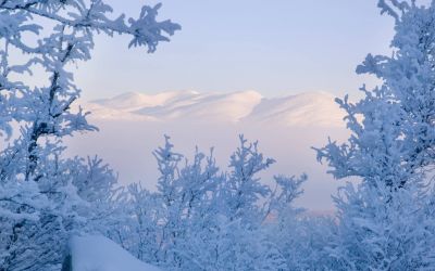 holiday packages lapland