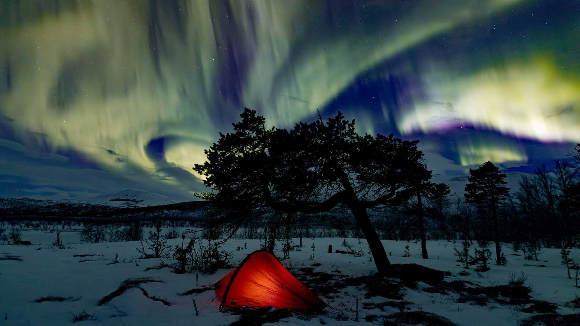 Aurora photo tours Sweden Abisko