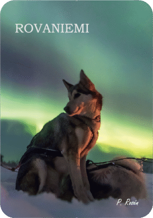 Jääkaappimagneetti Rovaniemi